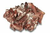 Natural, Red Quartz Crystal Cluster - Morocco #271798-1